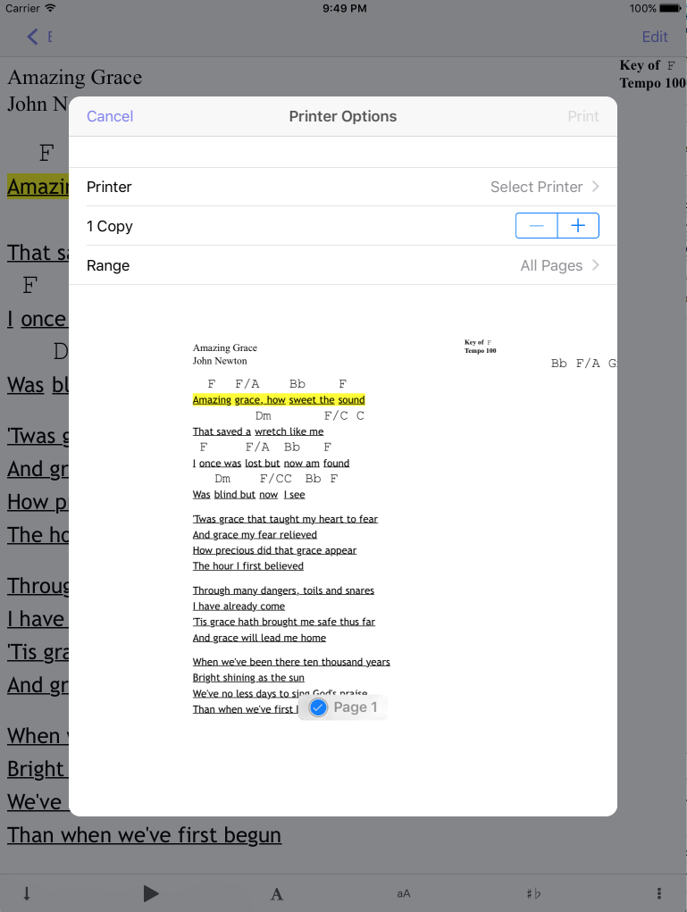 System Print Screen